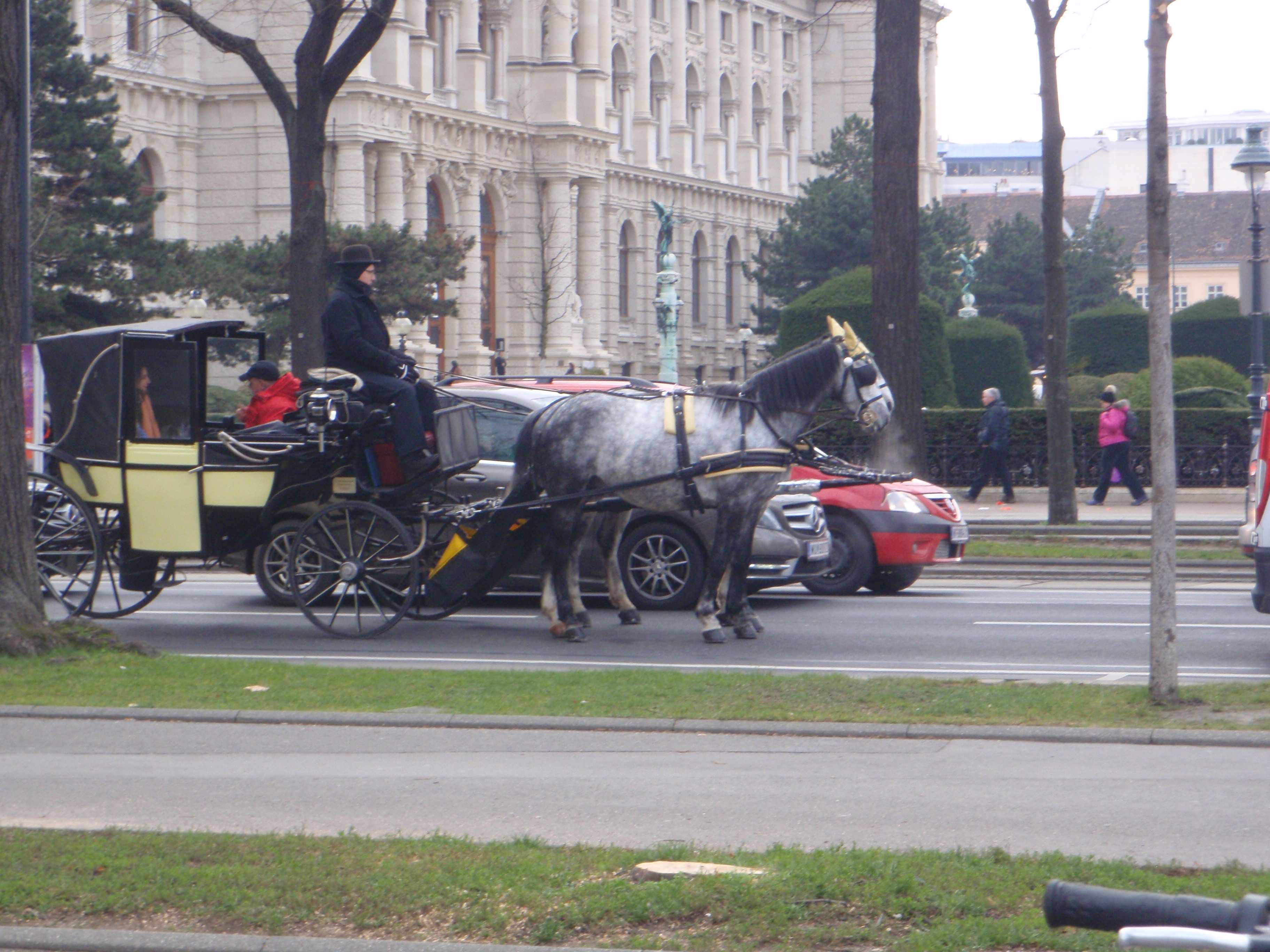 PC130081
