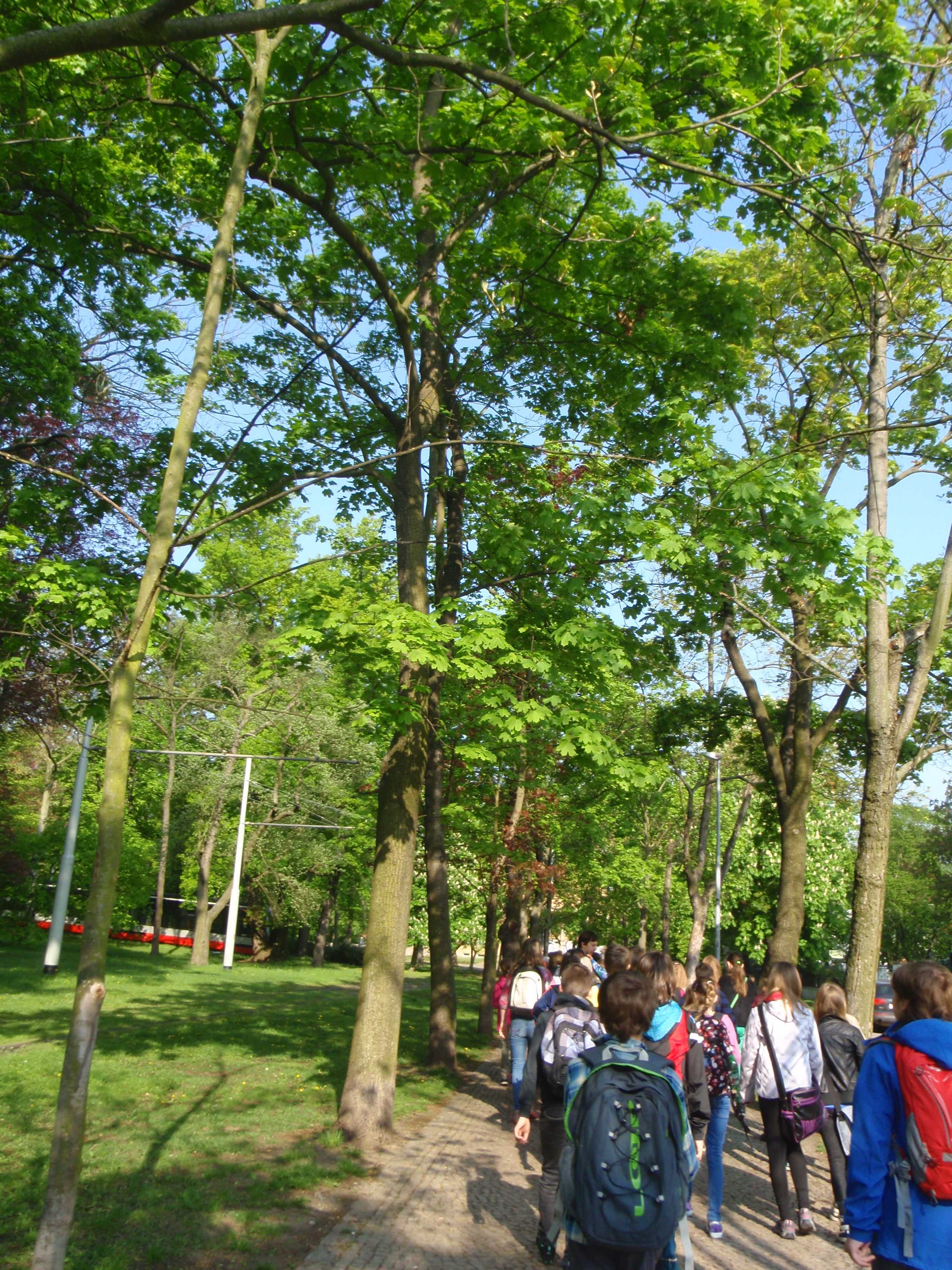 P4250371