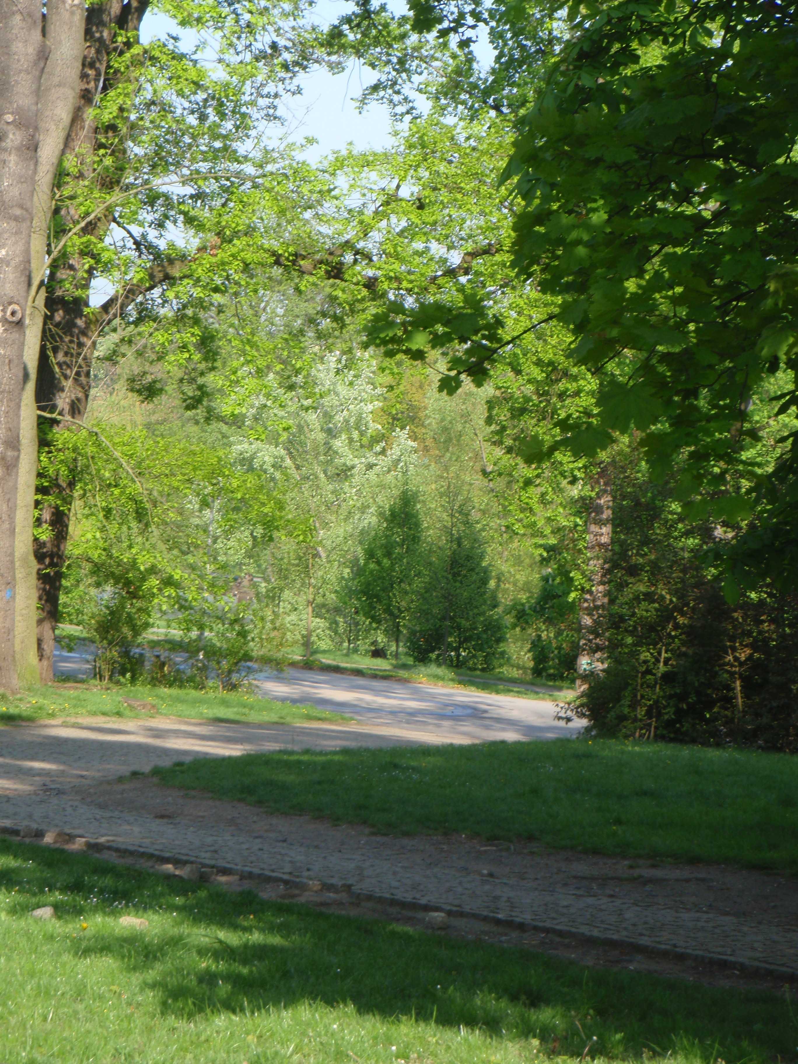P4250400